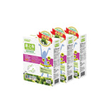 Load image into Gallery viewer, Slim Plum - Powerful New Formula (NEW) - Box of 3